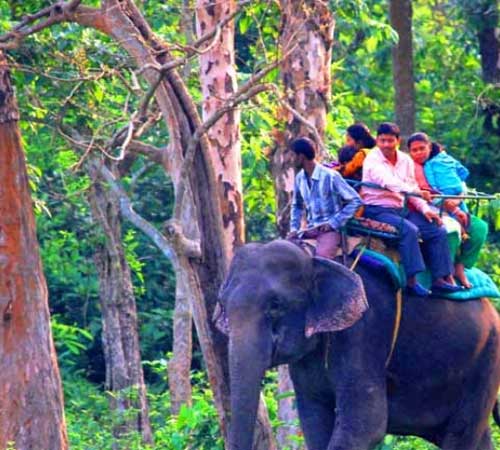 Dooars Jaldapara Gorumara Trip